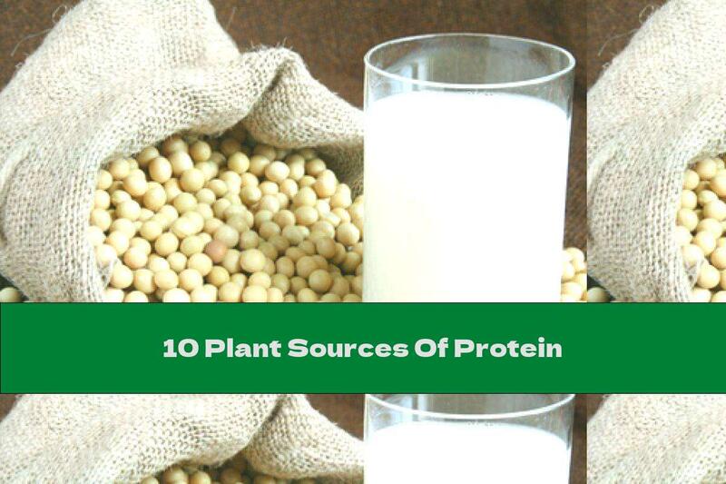10 Plant Sources Of Protein