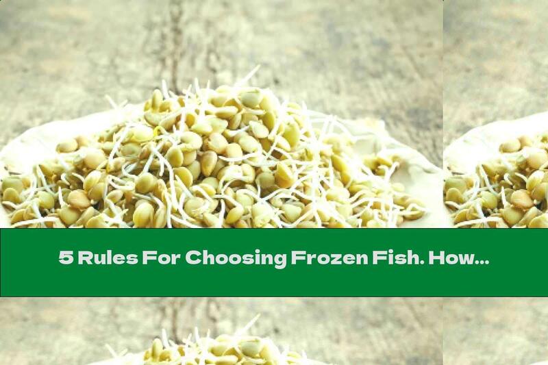 5 Rules For Choosing Frozen Fish. How Not To Buy A Damaged Product
