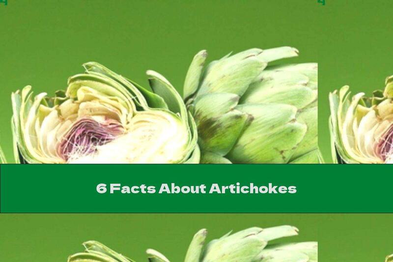 6 Facts About Artichokes