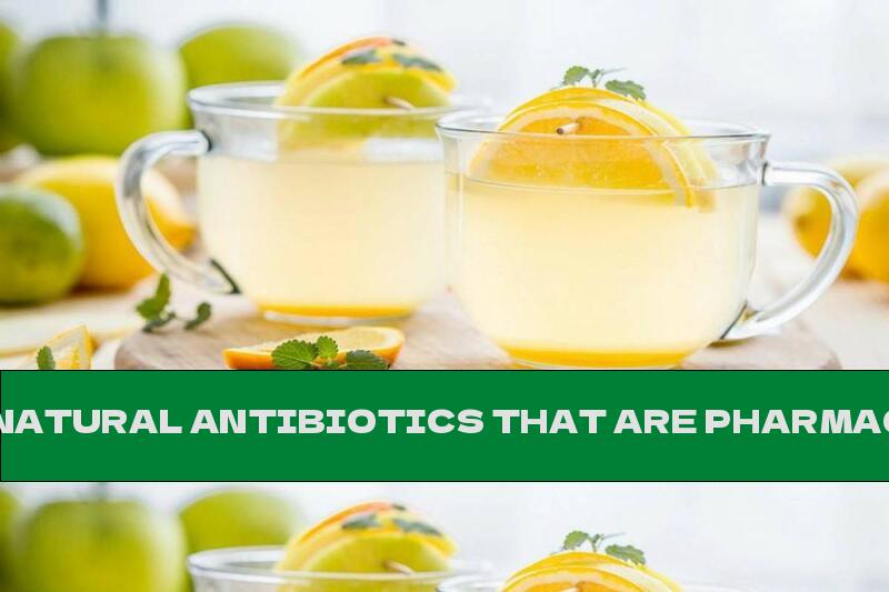 8 NATURAL ANTIBIOTICS THAT ARE PHARMACEUTICAL SUBSTITUTES