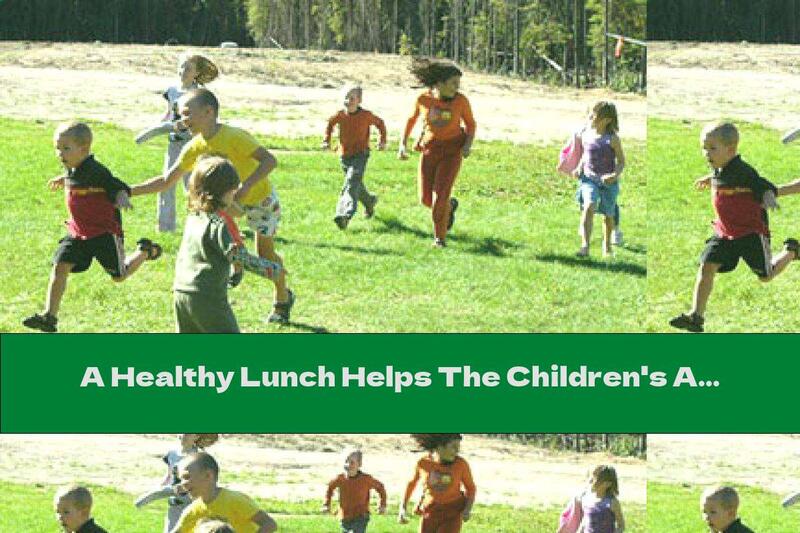 A Healthy Lunch Helps The Children's Ability To Work