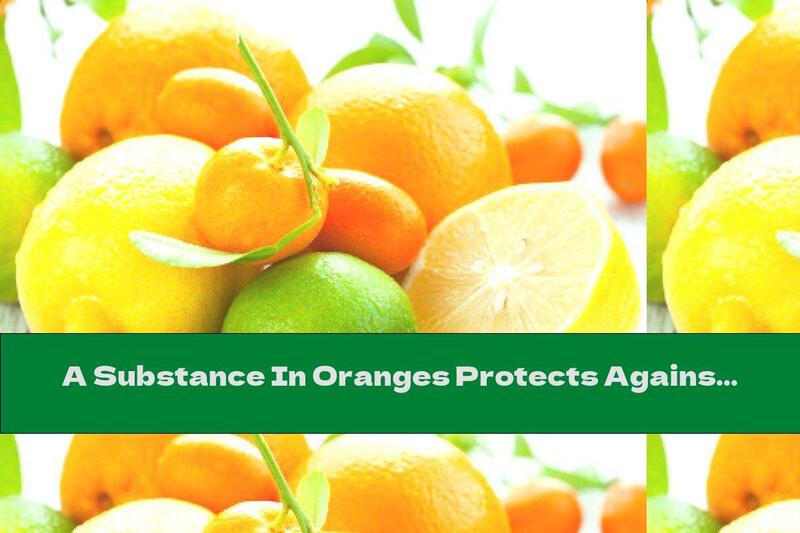 A Substance In Oranges Protects Against Obesity
