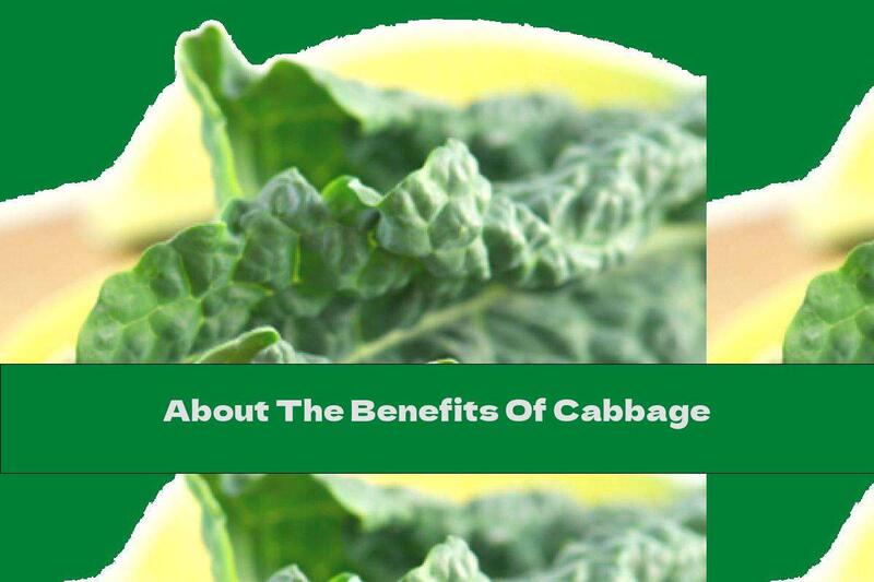 About The Benefits Of Cabbage