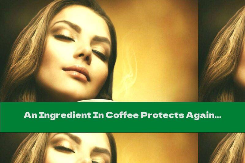 An Ingredient In Coffee Protects Against Alzheimer's?