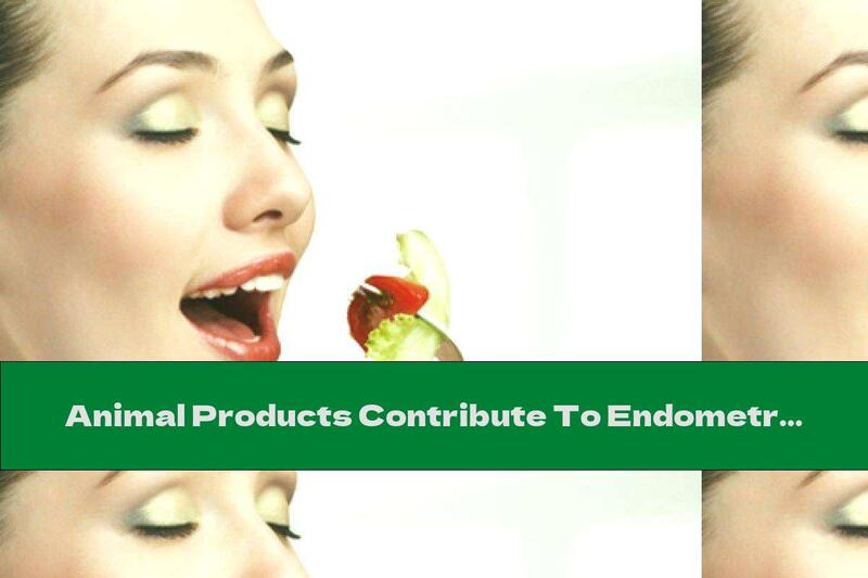 Animal Products Contribute To Endometriosis