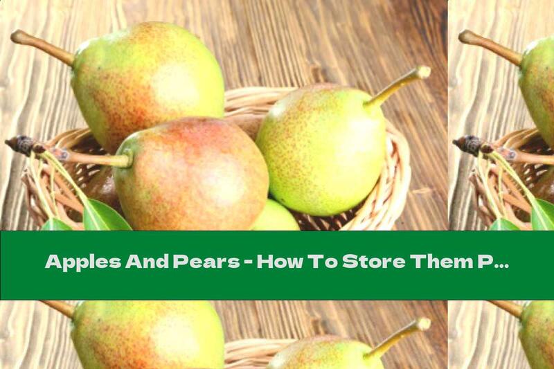 Apples And Pears - How To Store Them Properly?