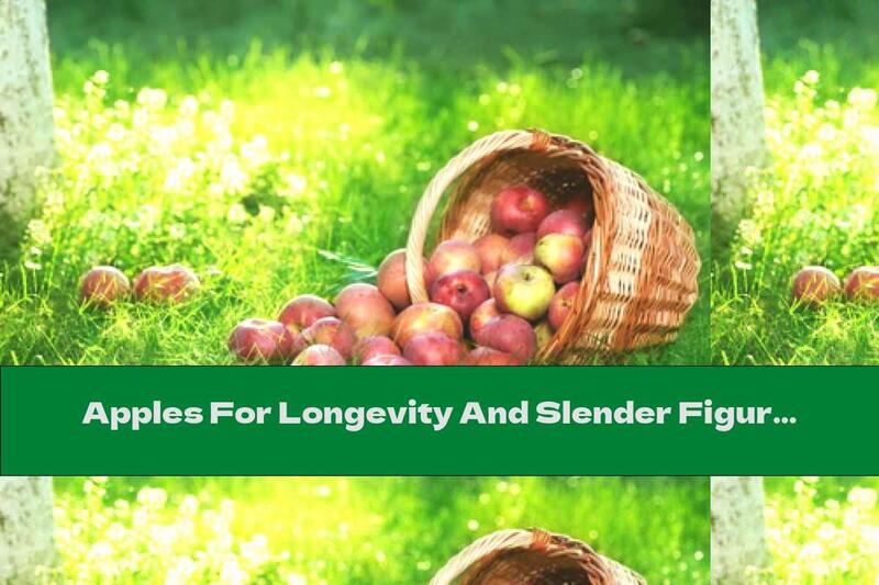 Apples For Longevity And Slender Figure