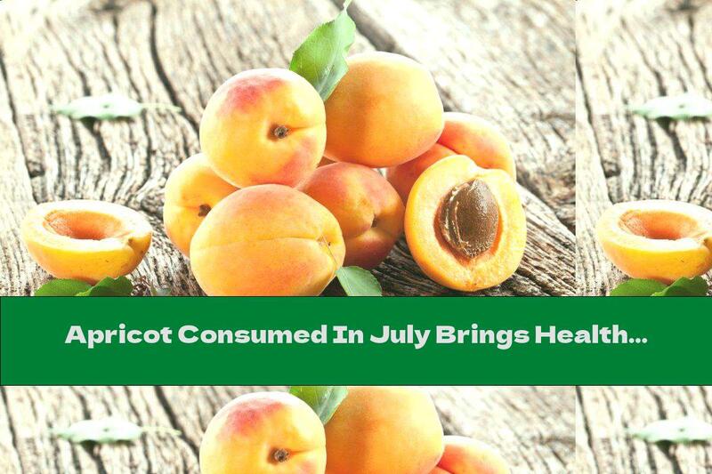 Apricot Consumed In July Brings Health For The Year Ahead