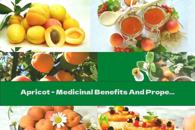 Apricot - Medicinal Benefits And Properties