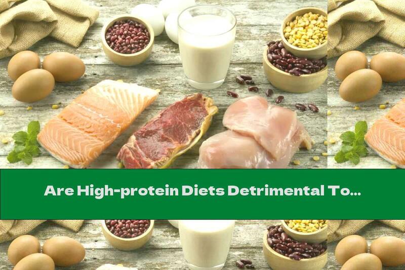 Are High-protein Diets Detrimental To Health?