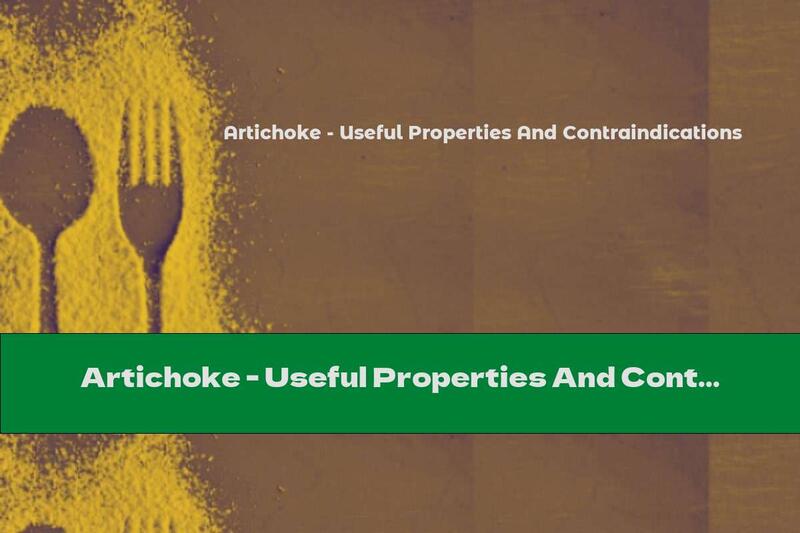 Artichoke - Useful Properties And Contraindications