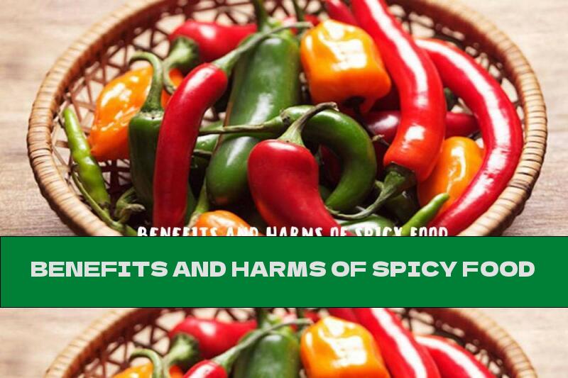 BENEFITS AND HARMS OF SPICY FOOD