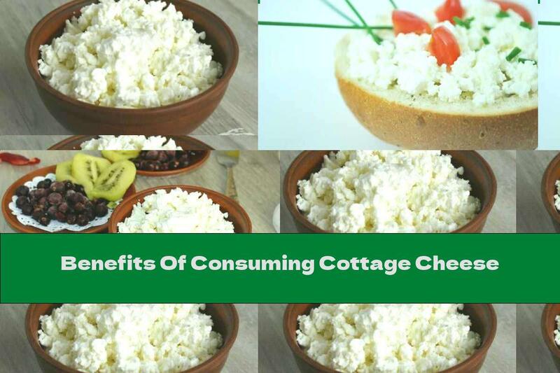 Benefits Of Consuming Cottage Cheese