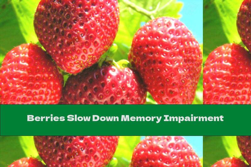 Berries Slow Down Memory Impairment