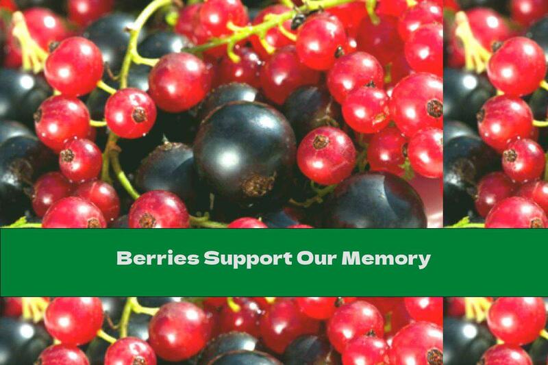Berries Support Our Memory