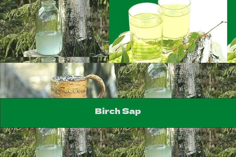 Birch Sap