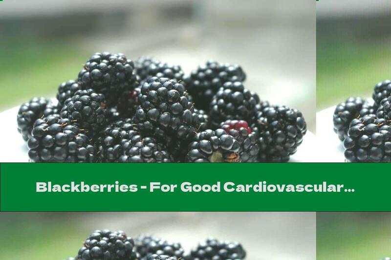 Blackberries - For Good Cardiovascular Health And Intelligence On The Spot