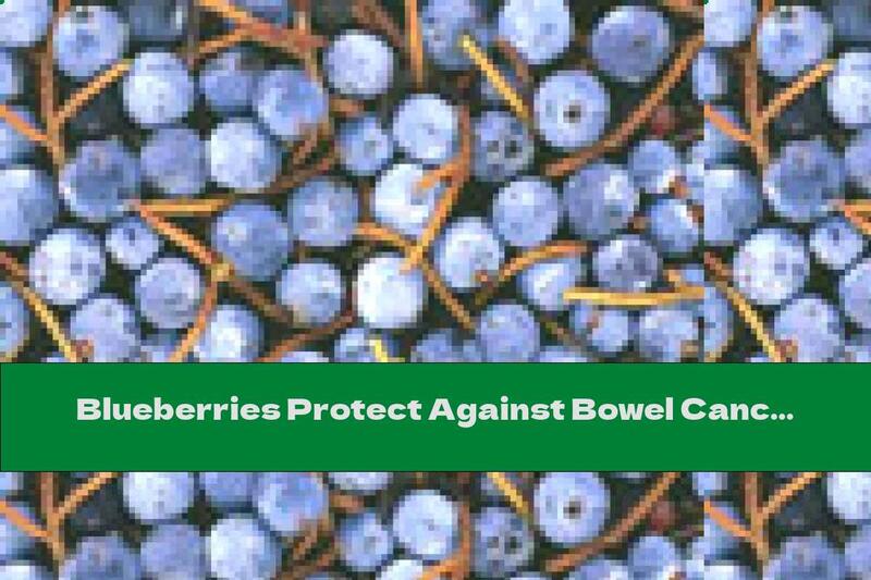 Blueberries Protect Against Bowel Cancer