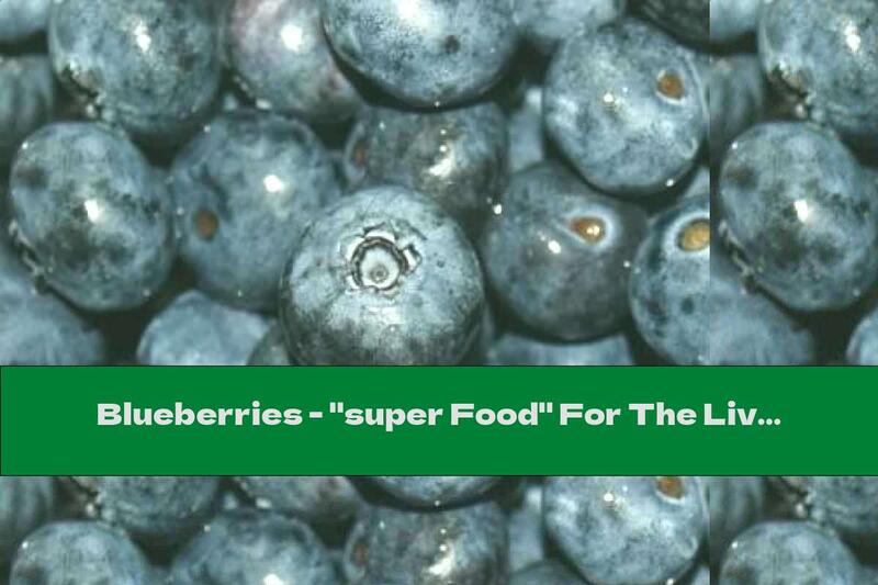 Blueberries - "super Food" For The Liver