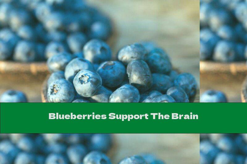 Blueberries Support The Brain