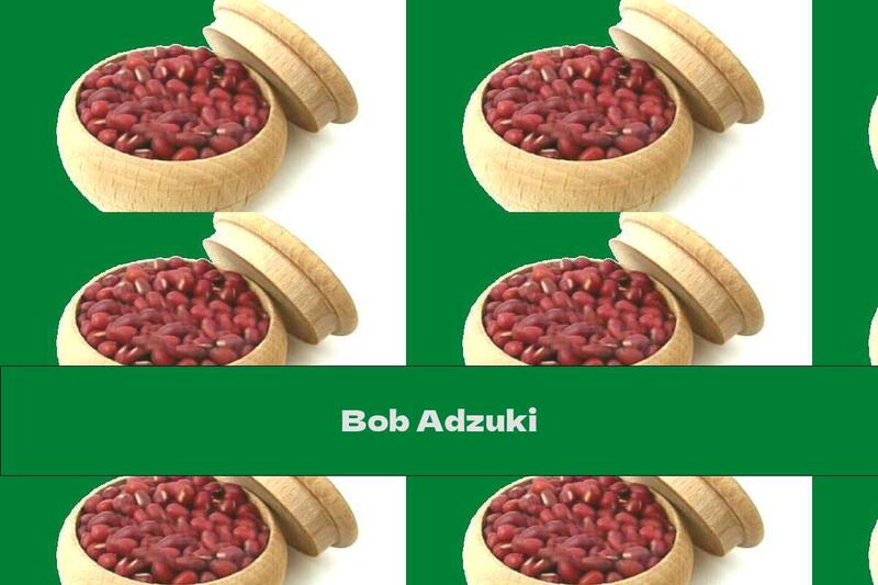 Bob Adzuki