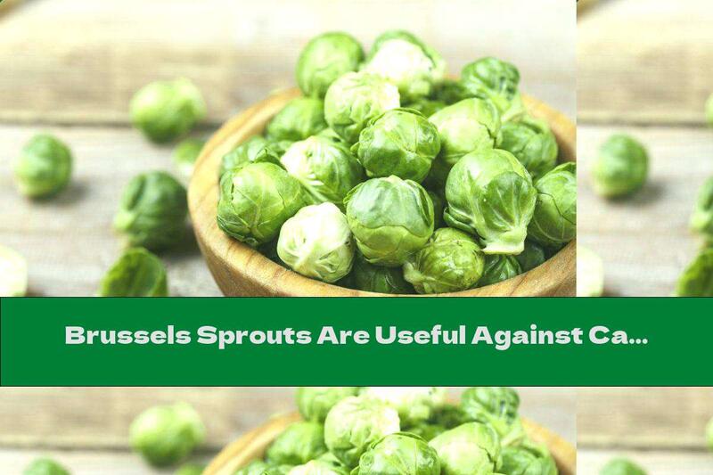 Brussels Sprouts Are Useful Against Cancer, Osteoporosis, Diabetes