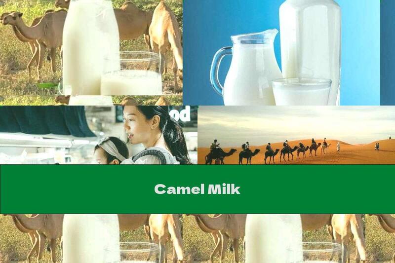 Camel Milk