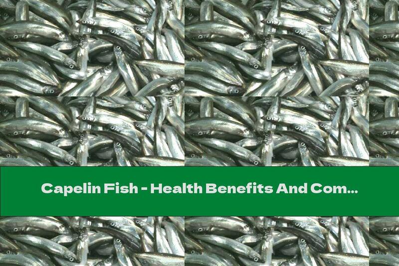 Capelin Fish - Health Benefits And Composition