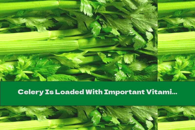 Celery Is Loaded With Important Vitamins And Minerals