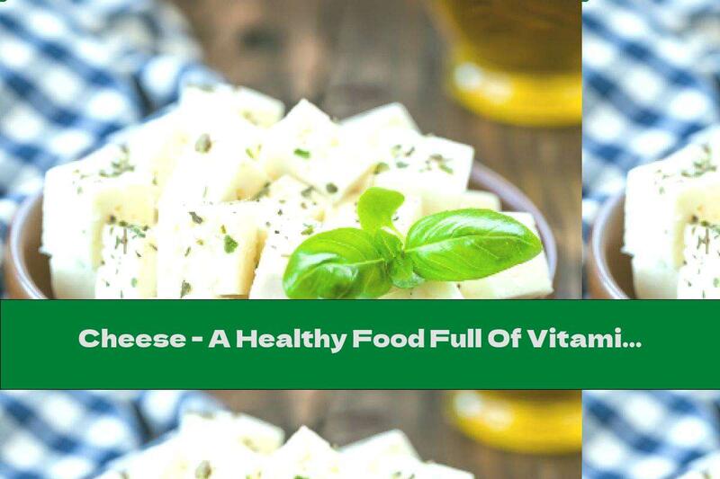 Cheese - A Healthy Food Full Of Vitamins And Minerals