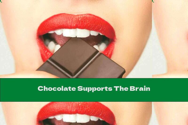 Chocolate Supports The Brain