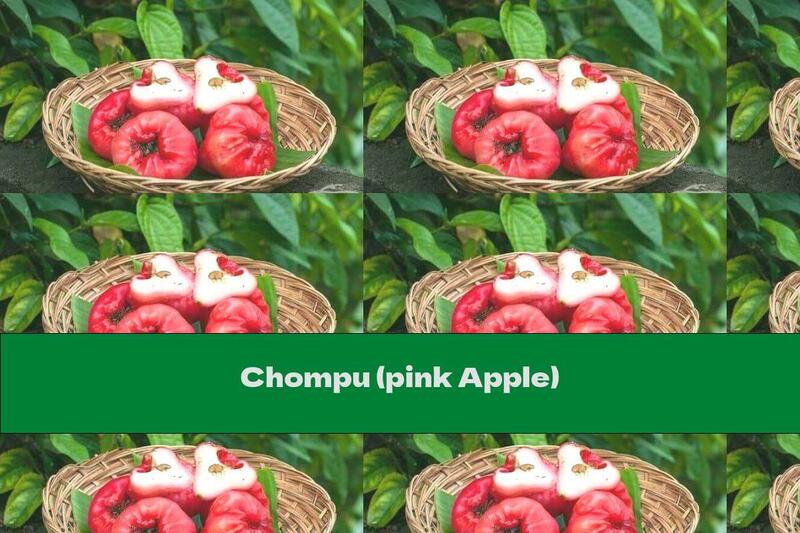 Chompu (pink Apple)