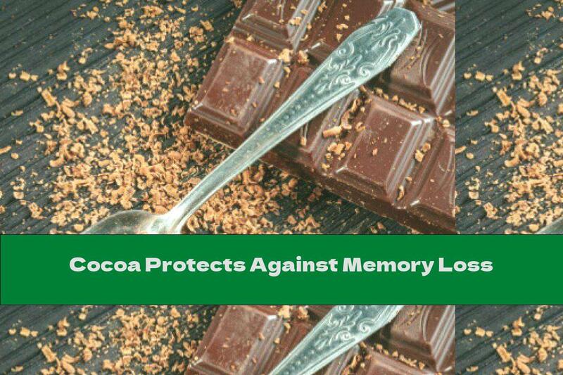 Cocoa Protects Against Memory Loss