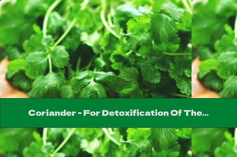 Coriander - For Detoxification Of The Body