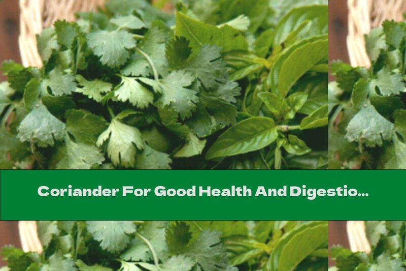 Coriander For Good Health And Digestion