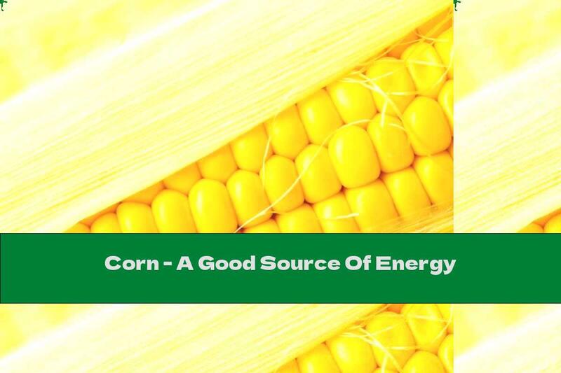 Corn - A Good Source Of Energy