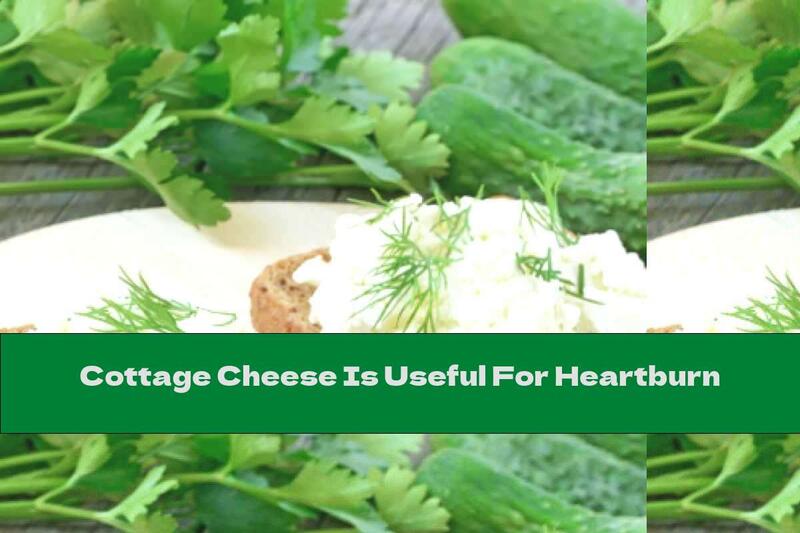 Cottage Cheese Is Useful For Heartburn