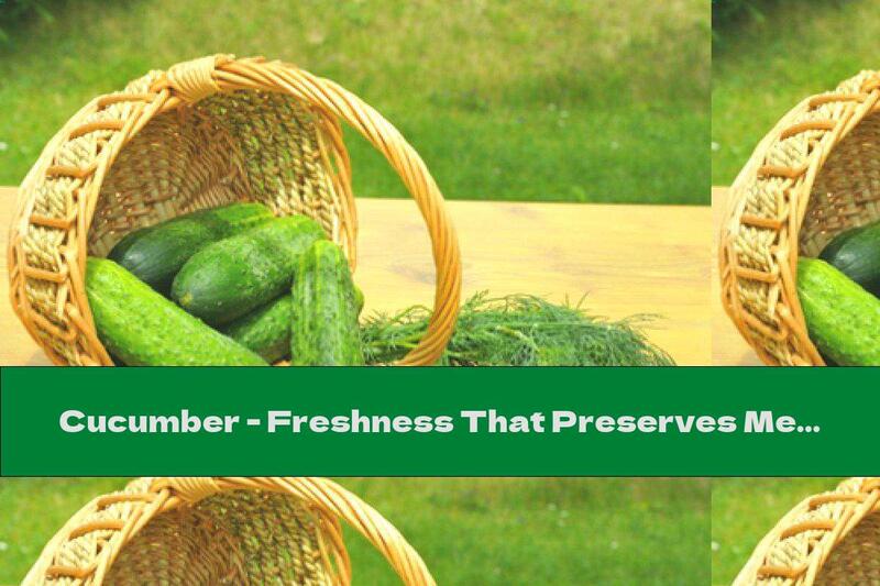 Cucumber - Freshness That Preserves Memory