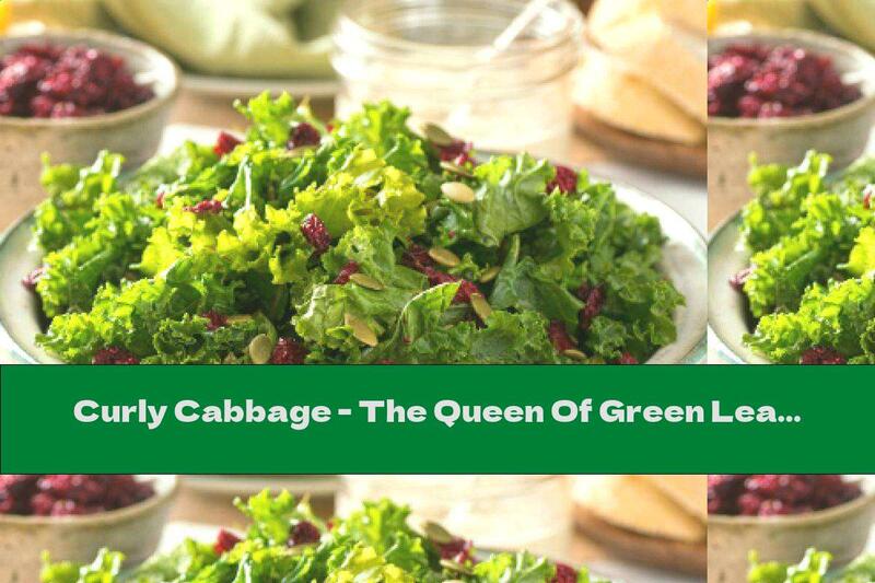 Curly Cabbage - The Queen Of Green Leafy Vegetables