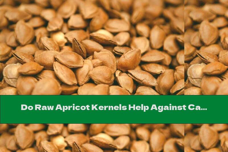 Do Raw Apricot Kernels Help Against Cancer?