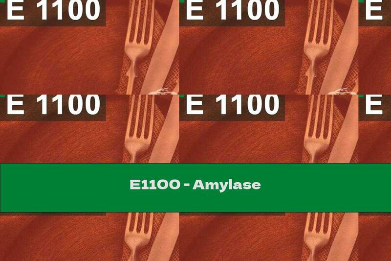 E1100 - Amylase