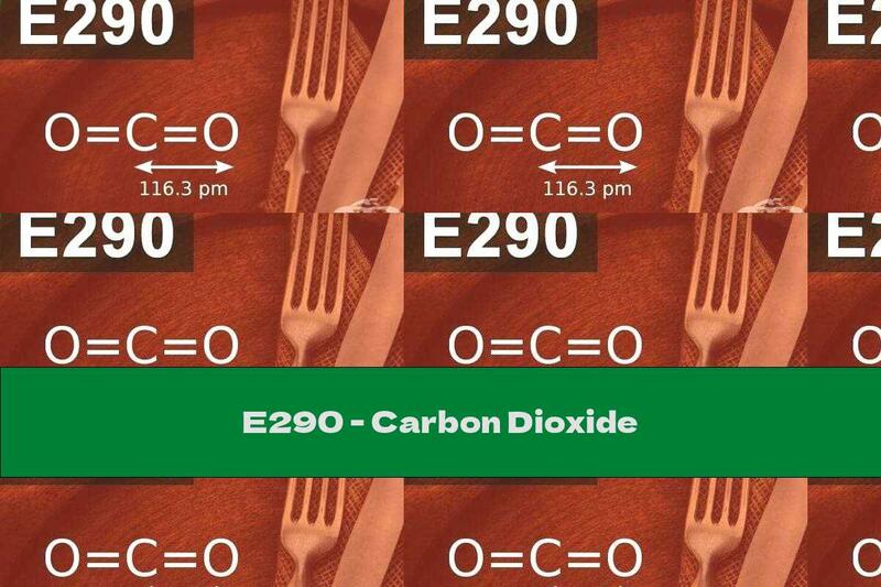 E290 - Carbon Dioxide