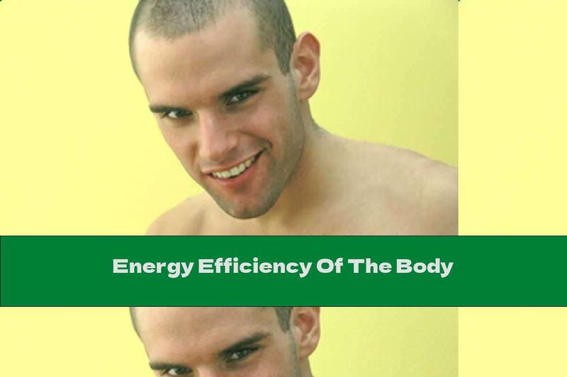 Energy Efficiency Of The Body