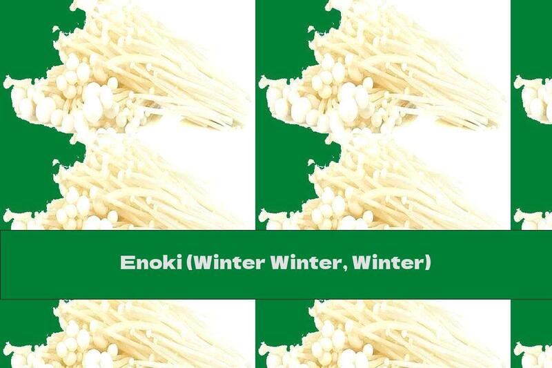 Enoki (Winter Winter, Winter)