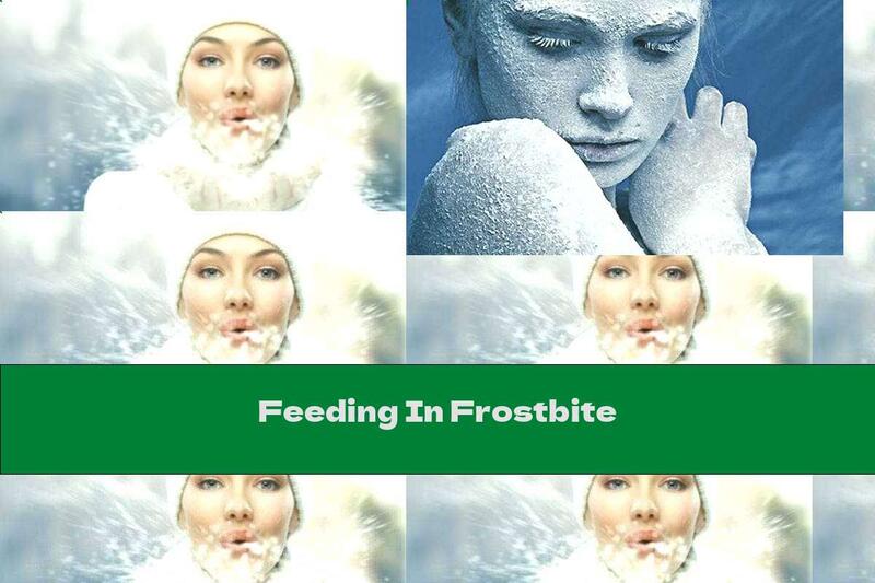 Feeding In Frostbite