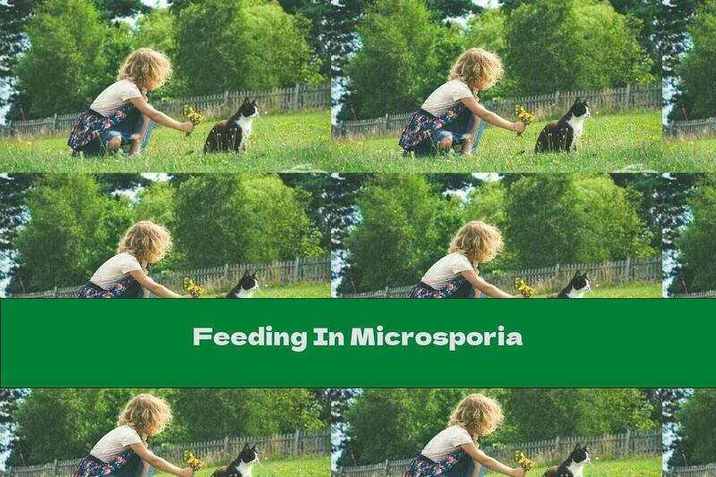 Feeding In Microsporia