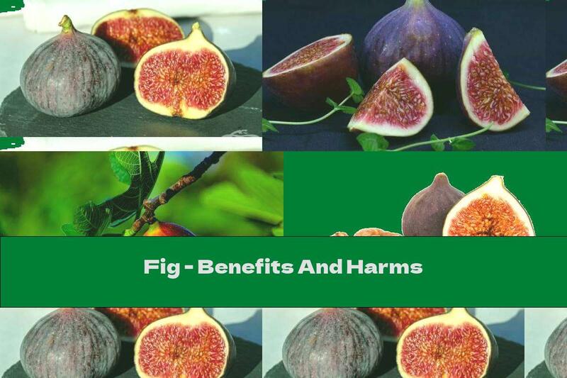 Fig - Benefits And Harms