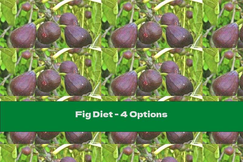 Fig Diet - 4 Options