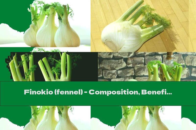 Finokio (fennel) - Composition, Benefits And Harms