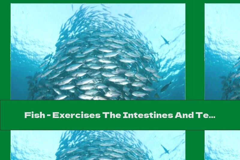 Fish - Exercises The Intestines And Tempers The Metabolism